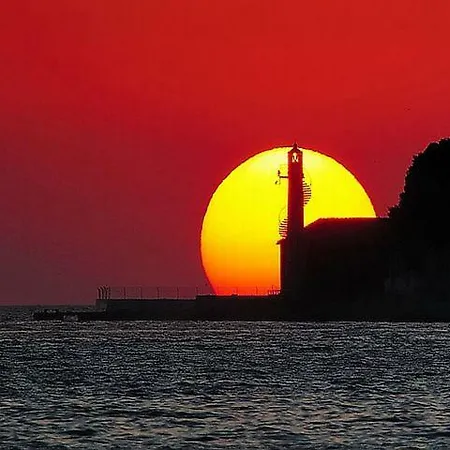 Apartman Miodrag Zára