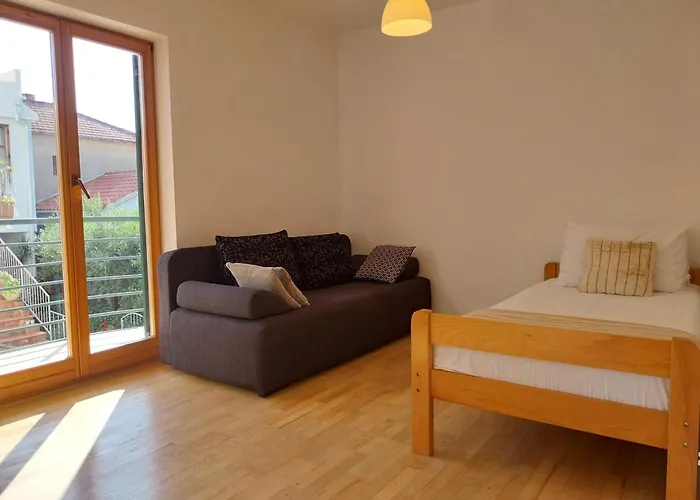 Miodrag * זאדאר