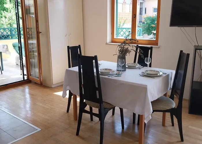 Miodrag * זאדאר