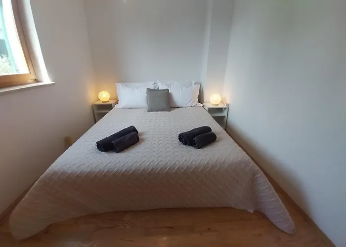 Miodrag * Zadar